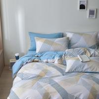 红豆 HDTJ25240021 爱家套件四件套-格调 被套200×230cm×1 床单230×245cm×1 枕套48×74cm×2（单位：套）