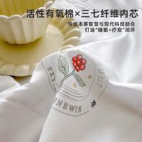 红豆 YLHSQ-180 叁七菁萃焕能被 180*200cm （单位：床） 颜色随机发货