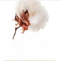 安娜艾莎 100支长绒棉 贡缎印花四件套 被套200*230cm*1床单245*250cm*1枕套48*74cm*2 (单位: 套)