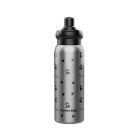 荣事达（Royalstar） RSDBJ011-FJ 乐享水杯保温杯 650ML (单位: 个)灰色