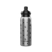 荣事达（Royalstar） RSDBJ011-FJ 乐享水杯保温杯 650ML (单位: 个)灰色