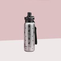 荣事达（Royalstar） RSDBJ011-FJ 乐享水杯保温杯 650ML (单位: 个)灰色