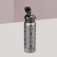 荣事达（Royalstar） RSDBJ011-FJ 乐享水杯保温杯 650ML (单位: 个)灰色