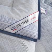 天琴（TISEN）TQ-B069 风尚保暖被 200*230cm 1500g（单位：床）