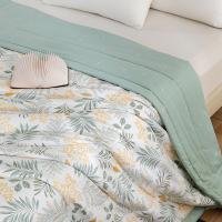 恒源祥（HYX）TSB2012 花影轻颜空调被 200*230cm（单位：条）颜色随机