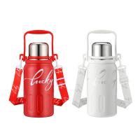 德世朗 DXYH-1000WH 小幸运系列保温壶 1000ml（单位：个）流光白