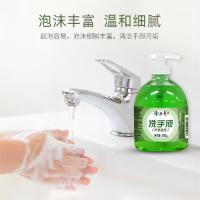 隆力奇 温植物萃取 芦荟香型 洗手液 500g (单位:瓶)