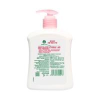 滴露（Dettol） 滋润倍护 抑菌洗手液 500g (单位:瓶) 新老包装随机发货