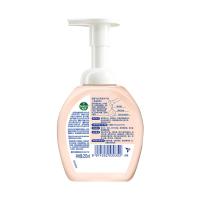 滴露（Dettol） 西柚香型 泡沫抑菌洗手液 250ml (单位:瓶) 新老包装随机发货