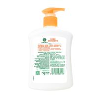 滴露（Dettol） 自然清新 抑菌洗手液 500g (单位:瓶) 新老包装随机