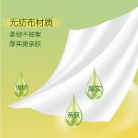 心相印（Mind Act Upon Mind） 杀菌湿巾 独立包装 XCA001-12B 170*180mm*10片*12包/提 (单位:提) 新旧包装随机发货