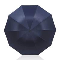 天堂伞 晴雨伞 31125E独具一格 75*114cm (单位:把) 岩石蓝