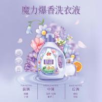 洁劲100 洗衣液 魔力爆香 2.5kg (单位:瓶)