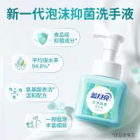 蓝月亮 鲜果薄荷 泡沫抑菌洗手液 255ml（单位：瓶）新旧包装随机发货