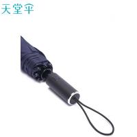 天堂 自开自收晴雨伞 31140E光线 102*63mm (单位:把) 藏青