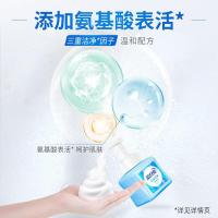 蓝月亮 琥珀雪松 泡沫抑菌洗手液 255ml（单位：瓶）