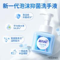 蓝月亮 琥珀雪松 泡沫抑菌洗手液 255ml(单位：瓶) 新老包装随机发货