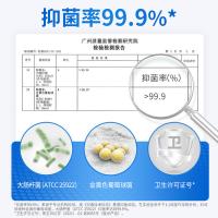 蓝月亮 琥珀雪松 泡沫抑菌洗手液 255ml(单位：瓶) 新老包装随机发货