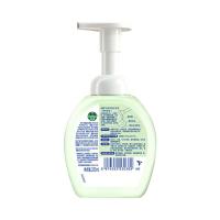 滴露（Dettol） 青柠香泡沫洗手液 250ml（单位：瓶）新老包装随机发货