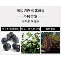 天然之扉 茶树清爽沐浴露  532ml（单位：瓶）