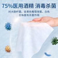 乐一享三 一次性酒精湿巾60抽*5包装（单位：组）