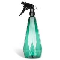 得力（deli） DL581005 水柱/雾状手压式半透明喷水壶 500ml(单位：个)