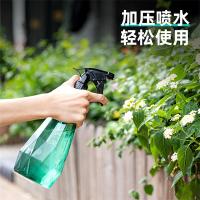 得力（deli） DL581005 水柱/雾状手压式半透明喷水壶 500ml(单位：个)
