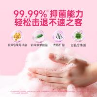 滴露（Dettol） 西柚香型 草莓熊限定版 泡沫抑菌洗手液 250ml (单位:瓶) 新老包装随机