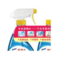 蓝月亮 玻璃专用 玻璃水+玻璃水瓶补 500g+500g (单位:组)