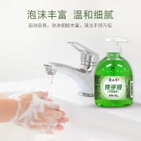 隆力奇 芦荟洗手液 植物萃取 500g (单位:瓶)