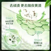 立白（Liby） 卫仕天然洗衣液 除菌 泵头装 800g (单位:瓶)