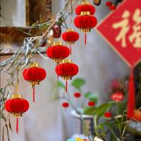 得印（befon） 3556植绒灯笼6#直径5cm大号16个（单位：套）