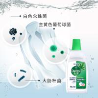 滴露（Dettol） 衣物除菌液 经典松木 750ml (单位:瓶) 新老装包随机发货