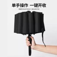 皖亭 君乔雨伞 WT-YS-008 60cm*10K (单位:支) 颜色随机