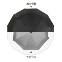 皖亭 君乔雨伞 WT-YS-008 60cm*10K (单位:支) 颜色随机
