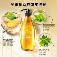 滋源（seeyoung） 生姜强根健发洗发水 中干性 强韧滋养 400ml (单位:瓶) 新旧包装 随机发货