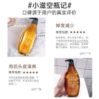 滋源（seeyoung） 生姜强根健发洗发水 中干性 强韧滋养 400ml (单位:瓶) 新旧包装 随机发货