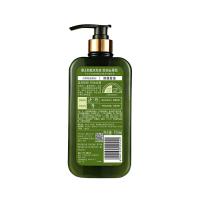 霸王 防脱洗发液 控油去屑型 750ml (单位:瓶)