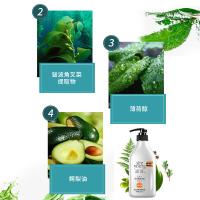滋源（seeyoung） 洗发水 活力酷爽净澈 535ml (单位:瓶)