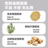 柏缇（POTE） 茶树 去屑洗发露 650ml (单位:瓶)