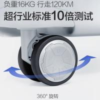 爱华仕（OIWAS） OCX6620-20 拉杆箱标准版 20英寸(单位：个) 银色