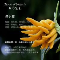 东方宝石（Tesori D’oriente） 土耳其风情 香氛沐浴乳 500ml(单位：瓶)