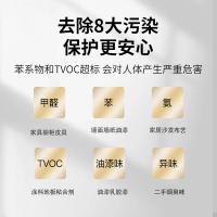 绿之源（GREEN SOURCE） 6000g 空气净化剂 黑加金纳米矿晶活性炭包 （单位:盒） 黑加金