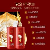 舒蕾 山茶花莹亮滋养去屑洗发露 500ml（单位:瓶）