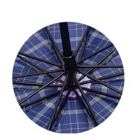 斯弥儿 SMR-JJYS005 涤丝格雨伞 65CM*10骨（单位：把）蓝白格