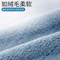茶花（CHAHUA） 220003 劲能吸擦拭布 3片/包 2包/组 （单位：组） 浅灰+灰蓝+灰紫
