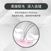 牙博士 DT701 炭白软毛深洁牙刷 刷头锲型 10列4排 2支/组 （单位：组）
