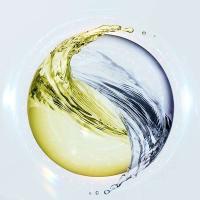 和风雨（Hefengyu） 洁面乳  200g  (单位：瓶 )