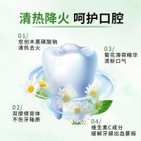 纳爱斯 清火护龈 清凉冰菊牙膏 120g（单位：支）新老包装随机发货