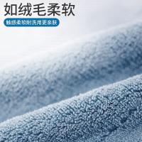 茶花（CHAHUA）厨房洗碗布抹布 30*30cm 3片/包*2包（单位：组）颜色随机